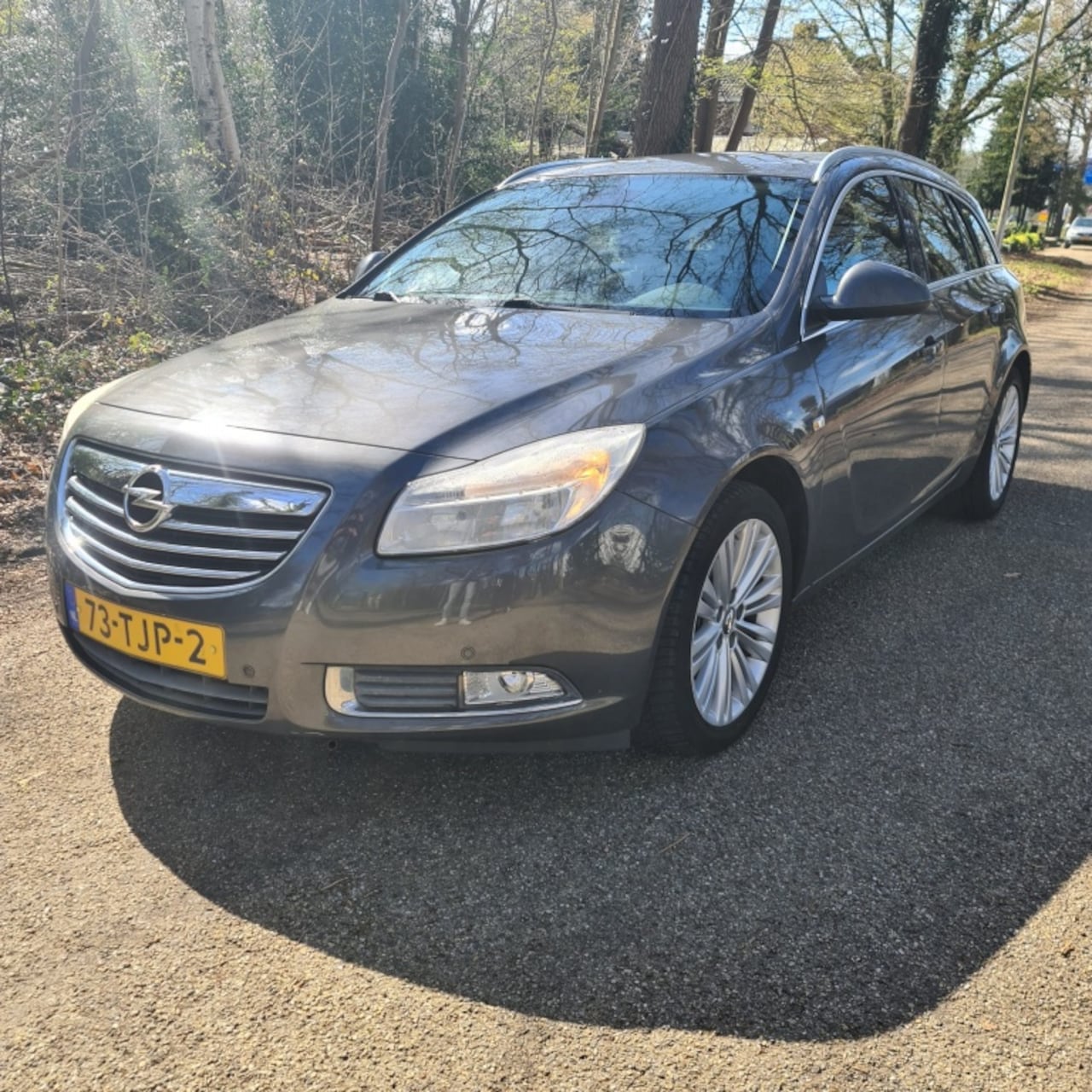 Opel Insignia Sports Tourer - 1.4 T EcoF. Edit. - AutoWereld.nl