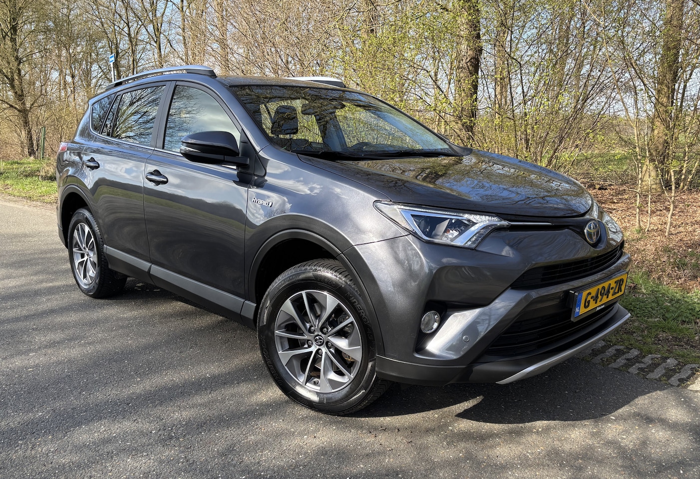 Toyota RAV4 - 2.5 Hybride Dynamic 2017 94.000KM Camera Adapt.cruise control *Dealer auto* - AutoWereld.nl