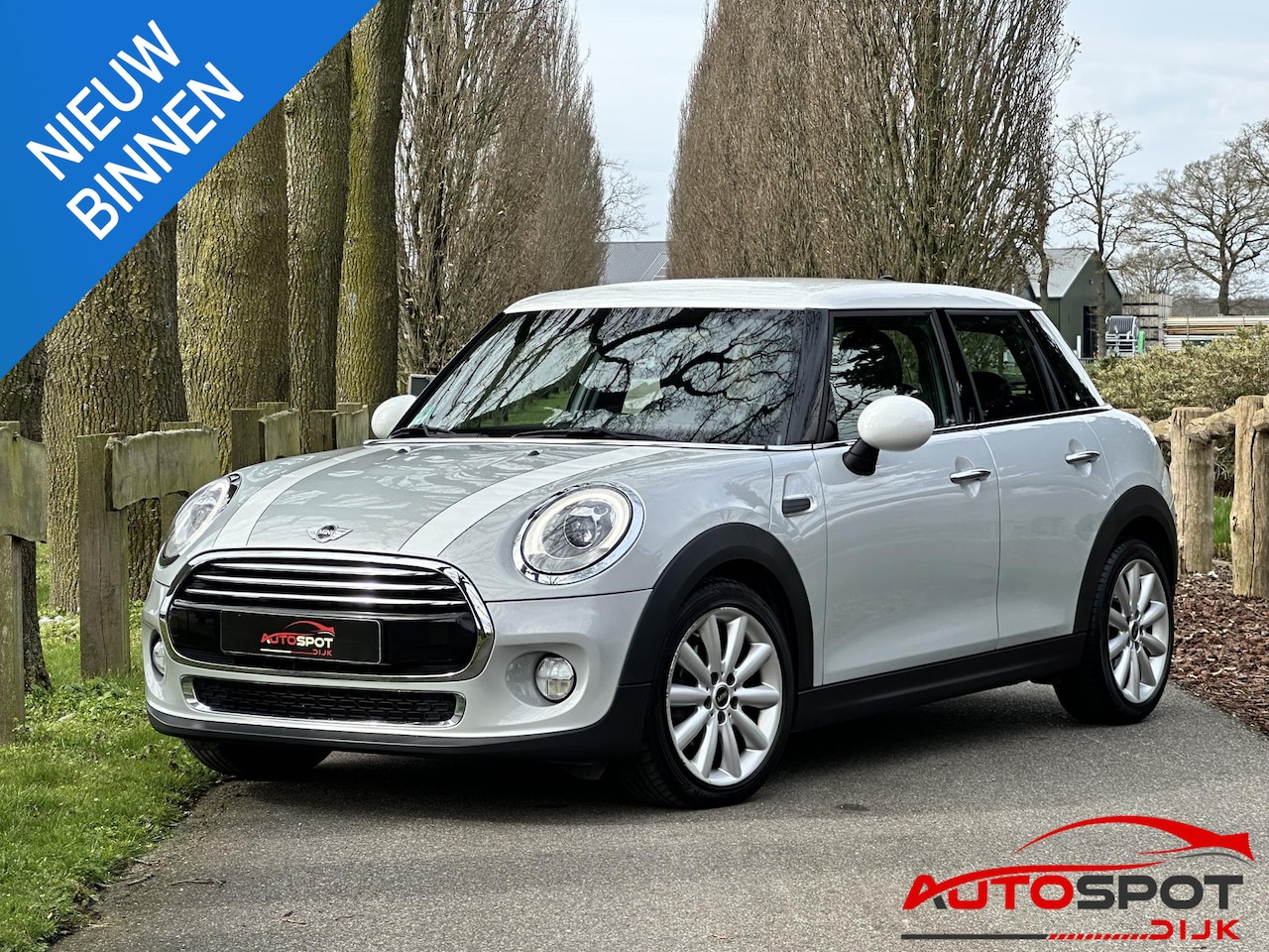 MINI Cooper - Mini 1.5 Chili - AutoWereld.nl