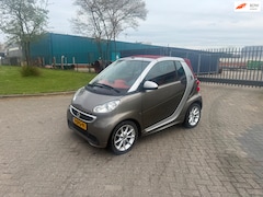 Smart Fortwo cabrio - Electric drive 18 kWh