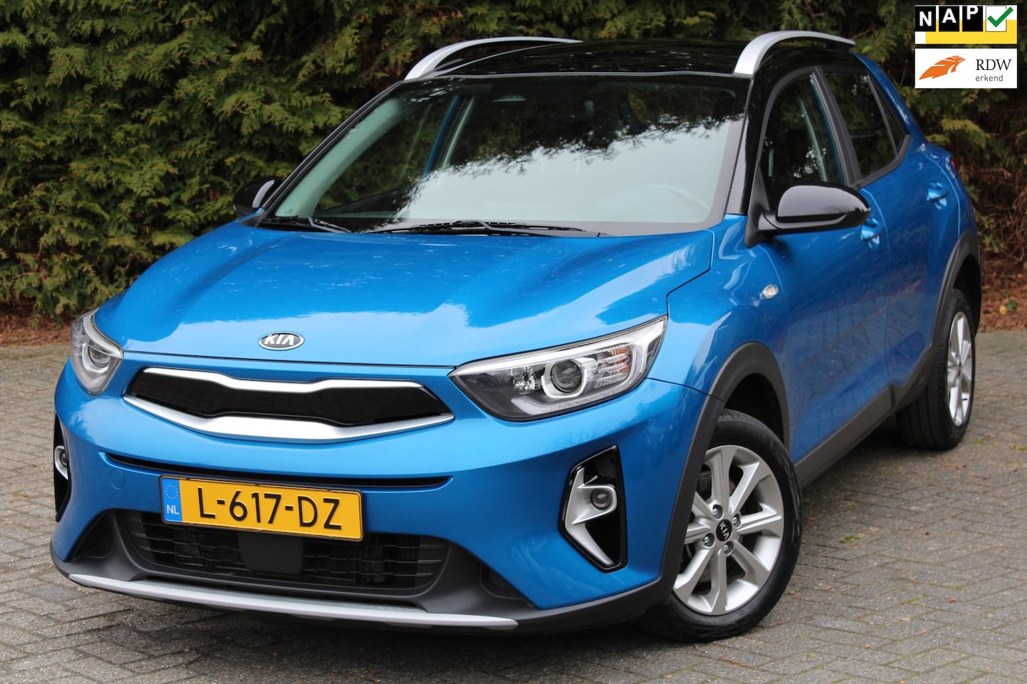 Kia Stonic - 1.0 T-GDi MHEV DynamicLine 100PK | Parkeercamera | Navigatie | Apple/Android Carplay | Cli - AutoWereld.nl