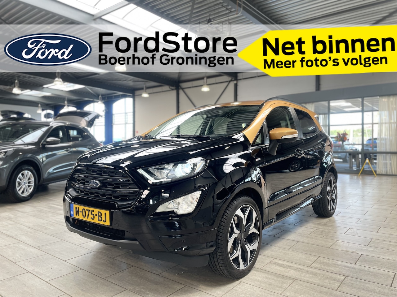 Ford EcoSport - EcoBoost 140 pk ST-Line | Trekhaak | Winter Pack | Camera | 18" | Half leer - AutoWereld.nl