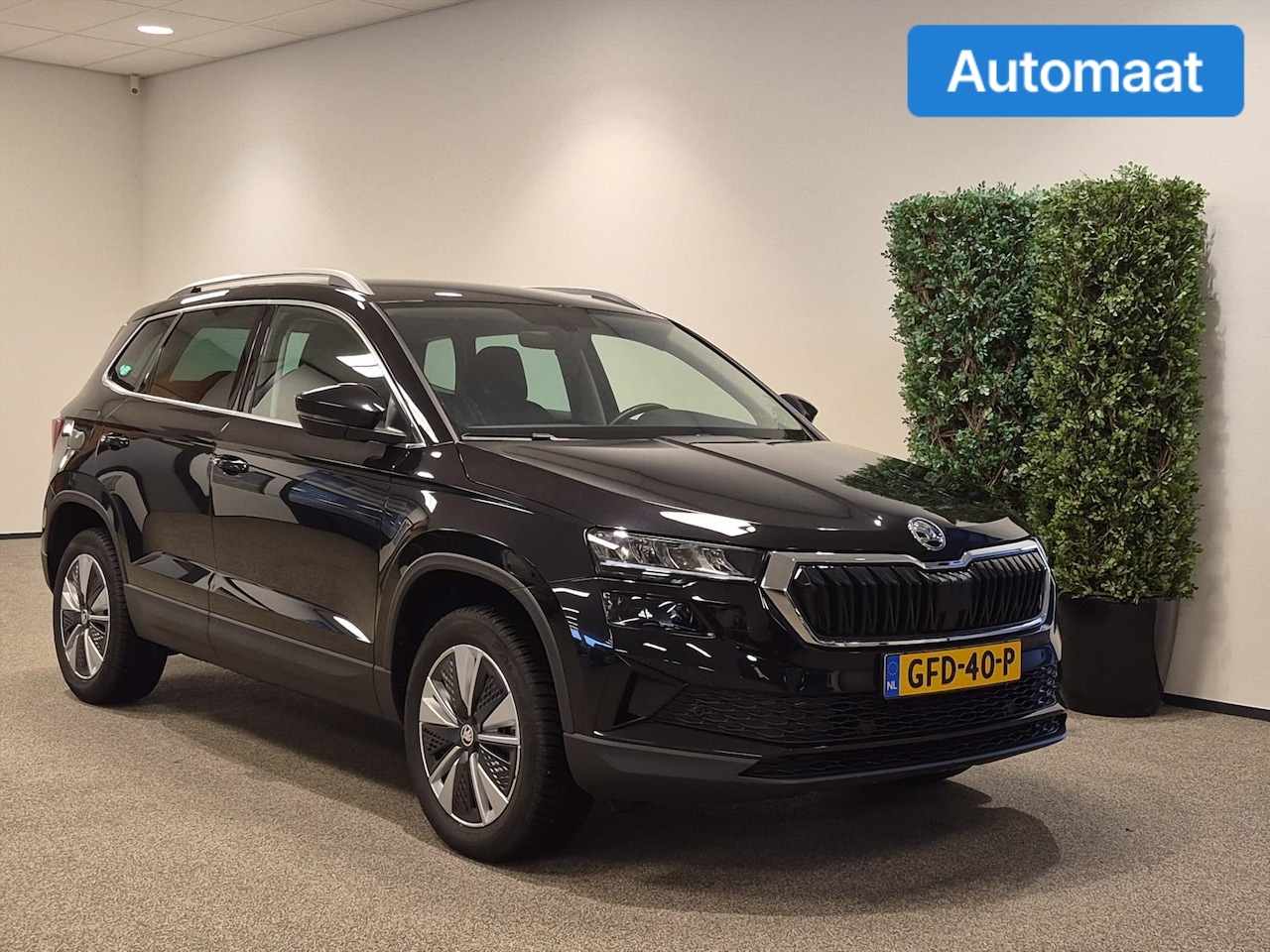 Skoda Karoq - 1.0 TSI Greentech 110pk - AutoWereld.nl
