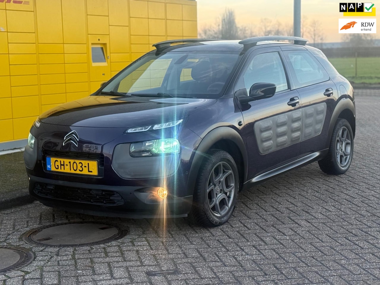 Citroën C4 Cactus - 1.6 e-HDi Business Automaat Panoramadak PDC v+a Camera - AutoWereld.nl