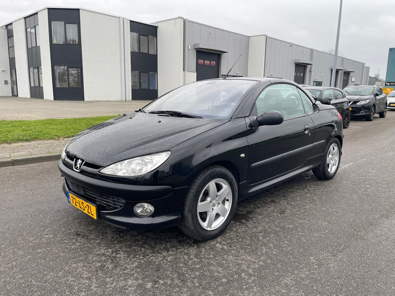 Peugeot 206 CC - 2.0-16V BJ 2003 - AutoWereld.nl