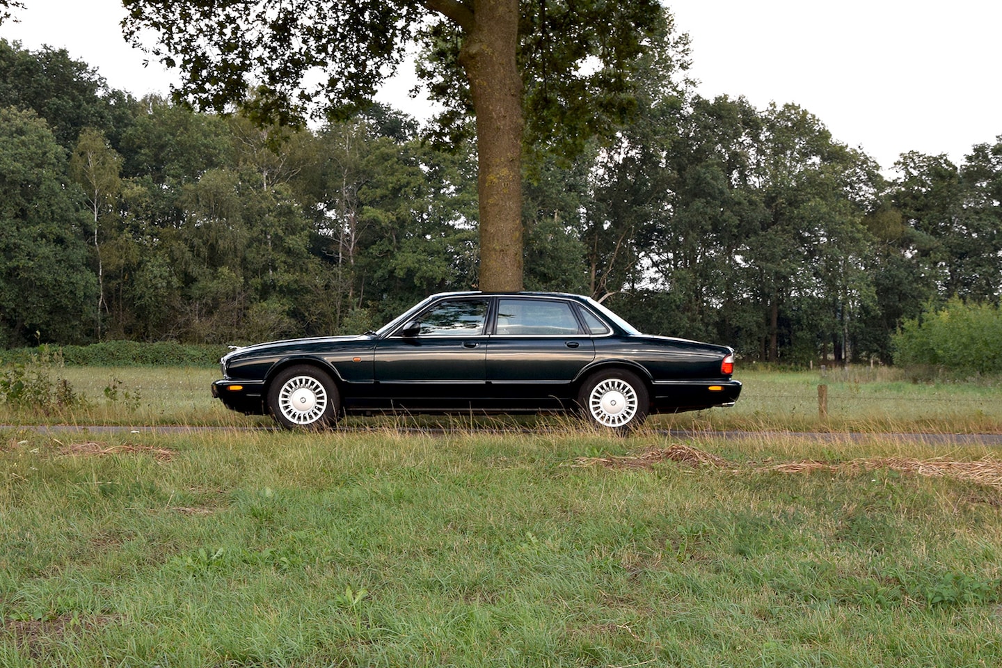 Jaguar XJ - 3.2 V8 Executive British Racing Green – 274.711km – Y1998 - AutoWereld.nl