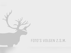 Volvo V60 - T5 Momentum Business Plus | Rijklaarprijs | Trekhaak | Intelli Safe |