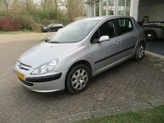 Peugeot 307 - 1.6-16V XS 5 deurs
