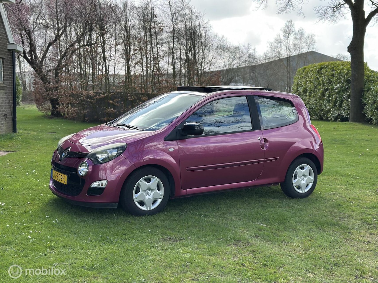 Renault Twingo - 1.2 16V Dynamique AUTOMAAT panodak nw. dbriem - AutoWereld.nl