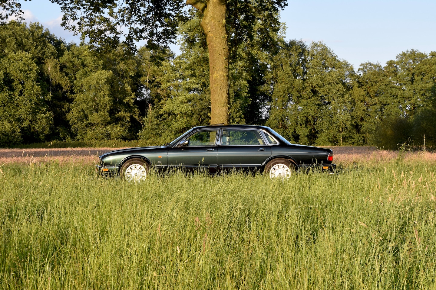 Daimler Six - Century LWB – Spruce Green Metallic – 211.735km – Y1996 - AutoWereld.nl