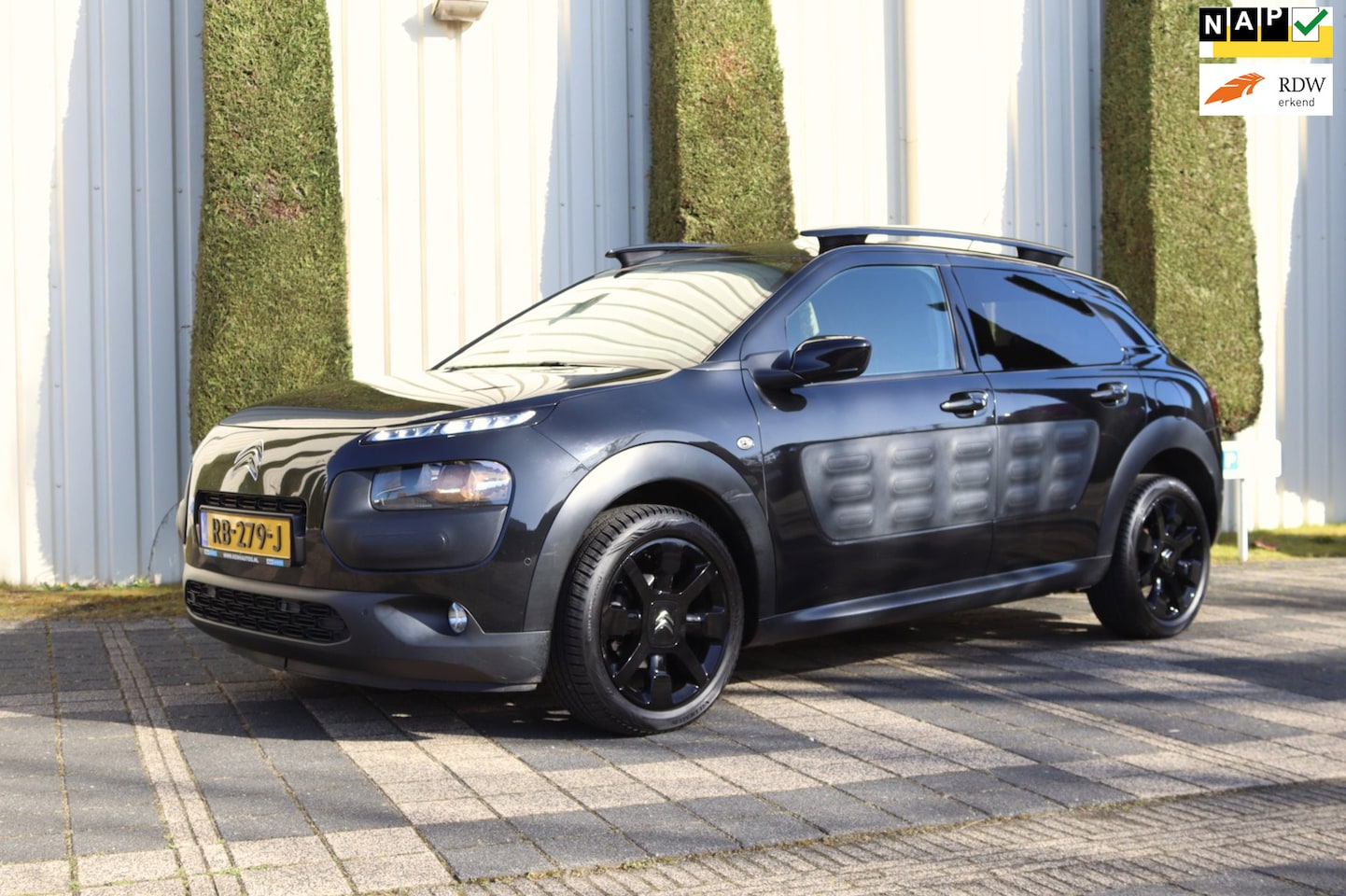 Citroën C4 Cactus - 1.6 BlueHDi Business Plus Pano, Navi, Cam, ECC, PDC - AutoWereld.nl