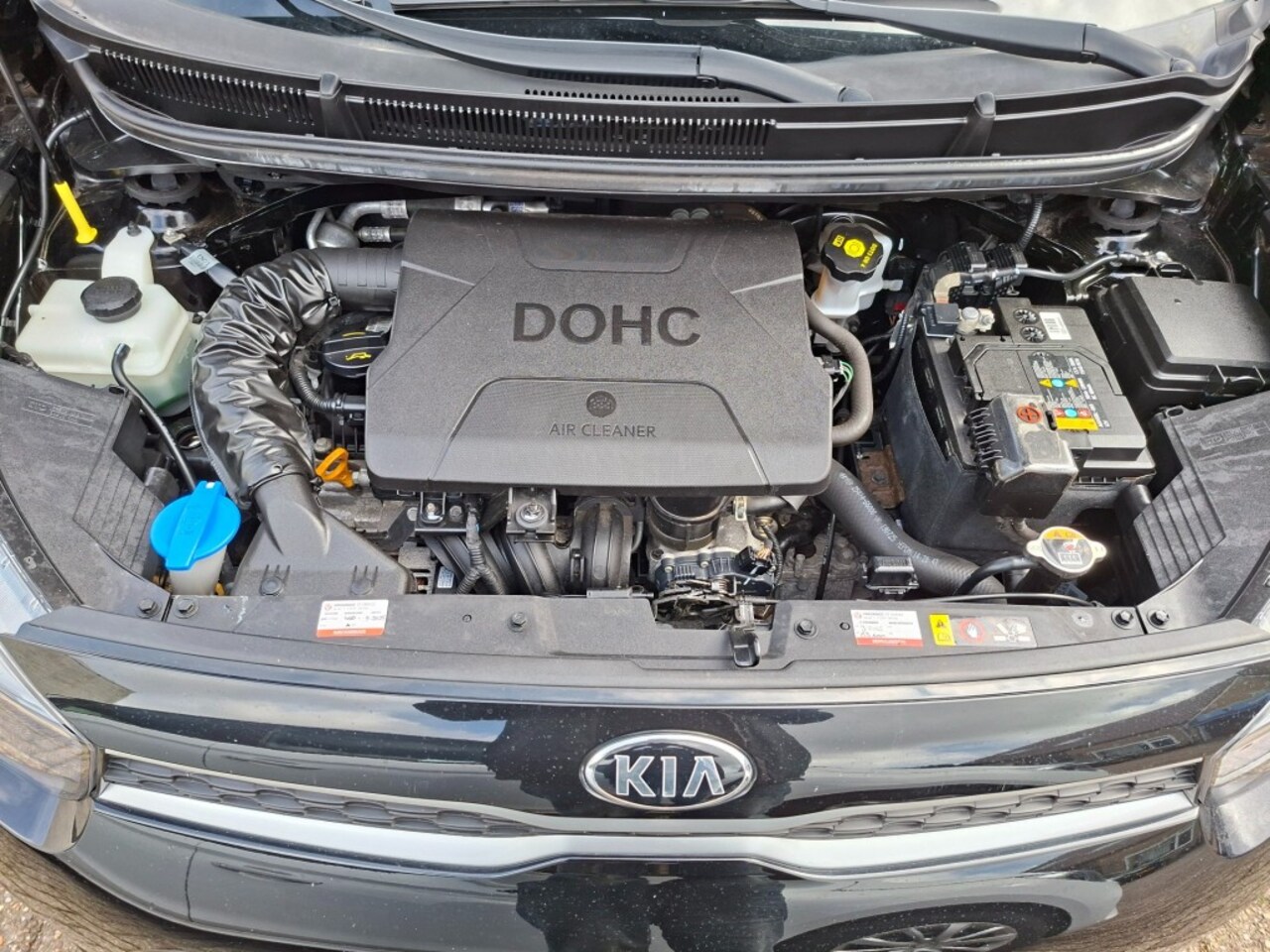 Kia Picanto - 1.0 Mpi ComfortLine AIRCO/RADIO/ELEC.RAMEN/CV