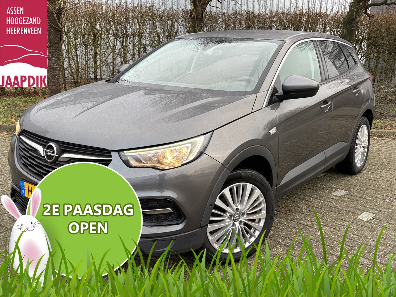 Opel Grandland X - BJR 2020 1.2 131 PKTurbo Business Executive AUTOMAAT | TREKHAAK | CLIMA  | CRUISE |  CARPL - AutoWereld.nl