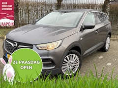 Opel Grandland X - BJR 2020 1.2 131 PKTurbo Business Executive AUTOMAAT | TREKHAAK | CLIMA | CRUISE | CARPLAY