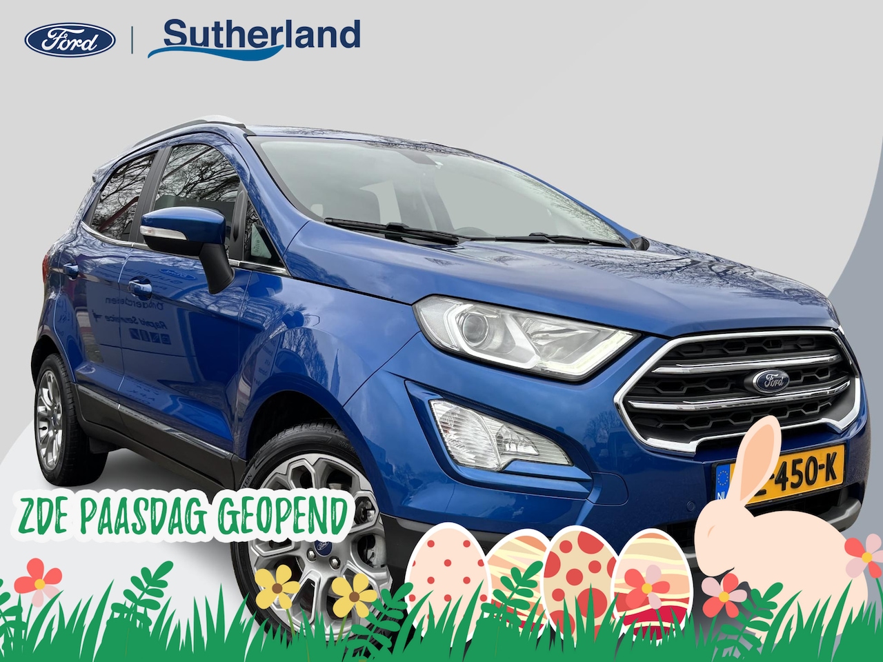 Ford EcoSport - 1.0 EcoBoost Titanium 125pk | Trekhaak | Winter Pack | Navigatie | Camera | 17 inch | Dode - AutoWereld.nl