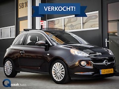 Opel ADAM - 1.0 Turbo Glam | CABRIO | BLUETOOTH | CRUISE | PDC | BRUIN