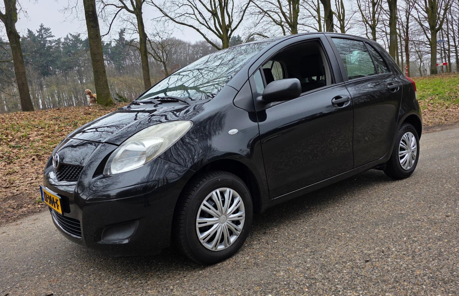 Toyota Yaris - 1.0 VVTi - 5 Deurs - Keurig onderhouden - - AutoWereld.nl