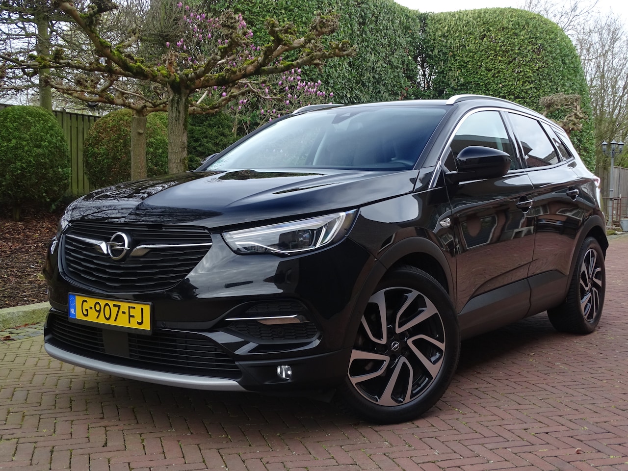 Opel Grandland X - 1.2 Turbo Executive 1ste eig Trekhaak Nw.staat - AutoWereld.nl