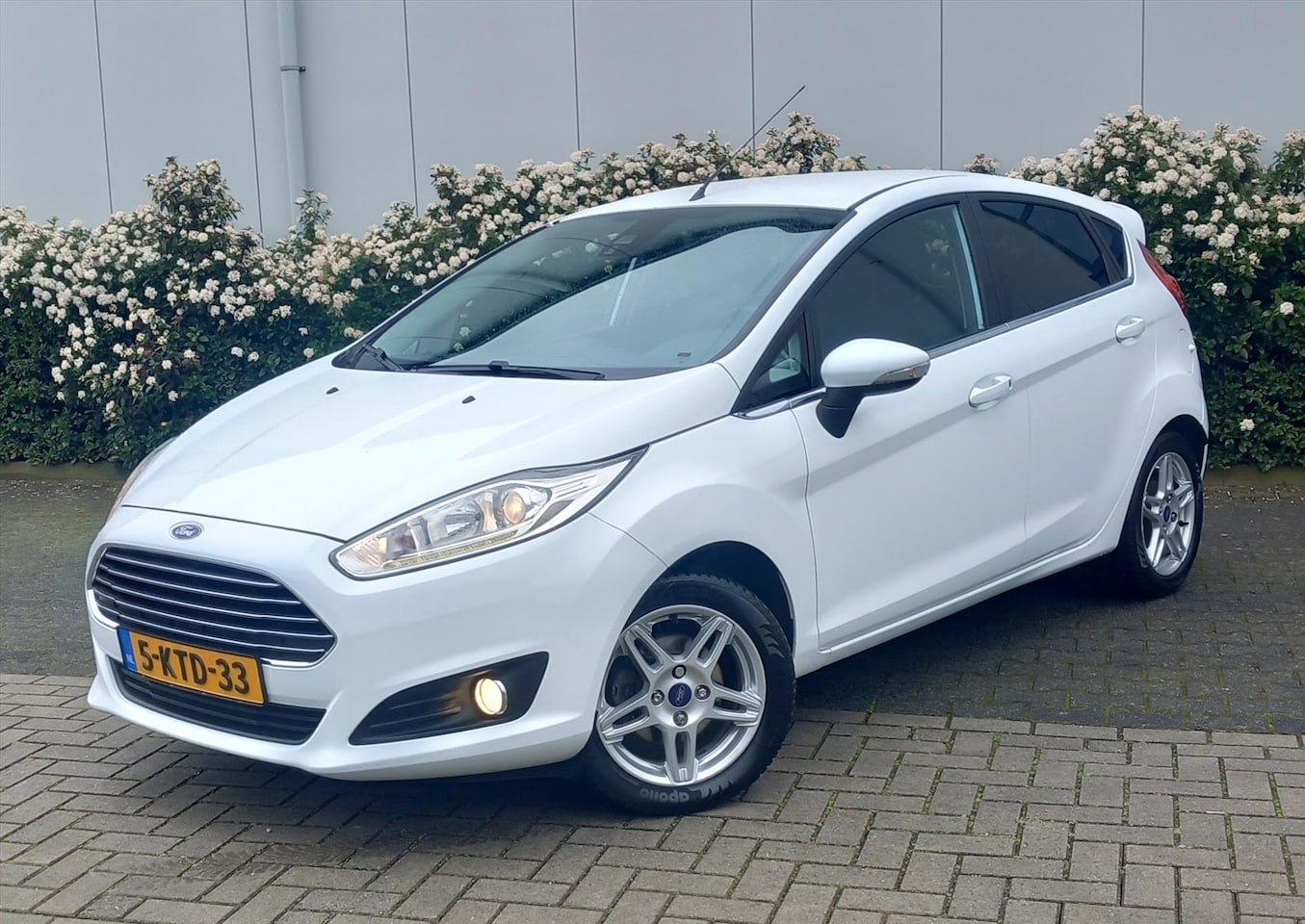 Ford Fiesta - 1.0 EcoBoost 125PK 5D S/S Titanium MOTOR SCHADE - AutoWereld.nl