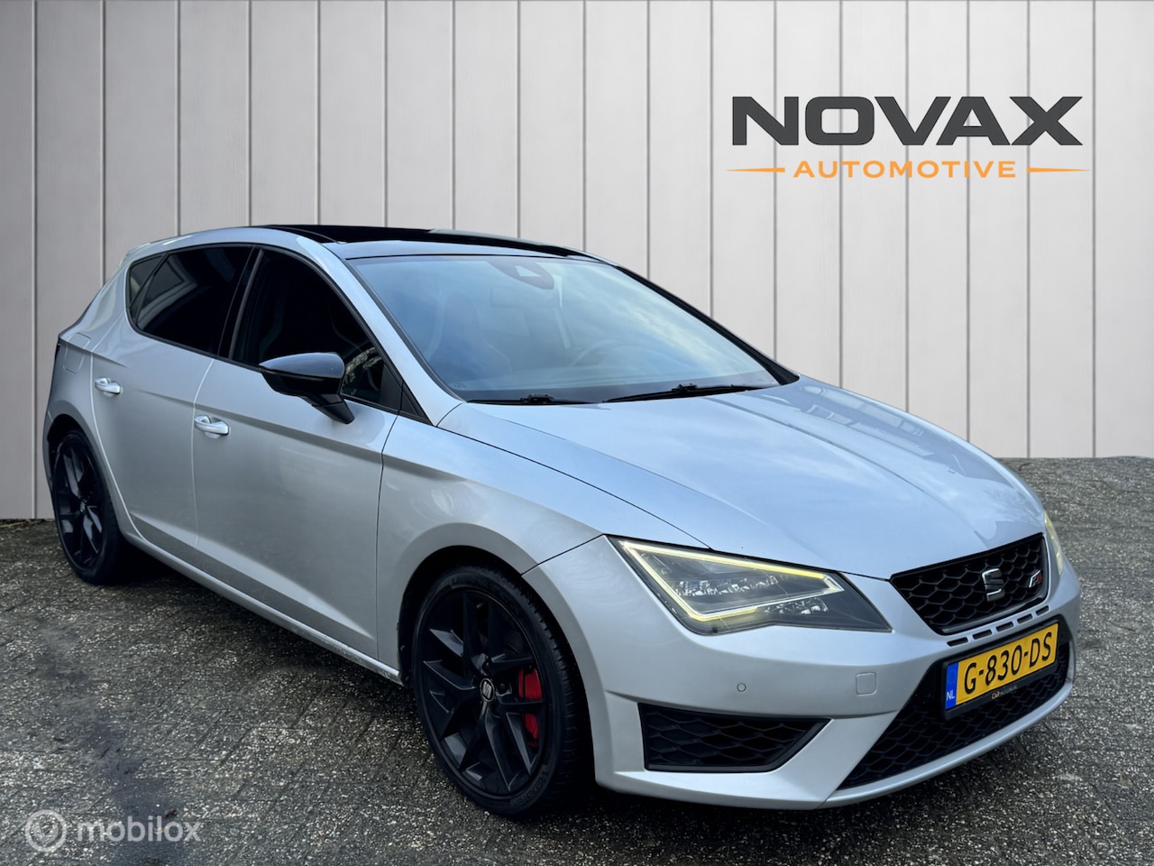 SEAT Leon - cupra 2.0 TSI DSG| Panorama | schaalstoelen| Grijs - AutoWereld.nl