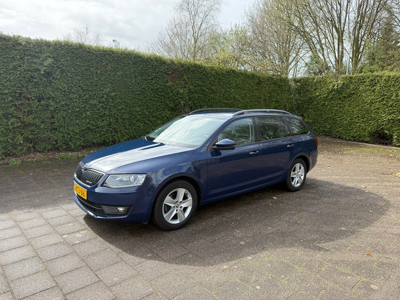 Skoda Octavia Combi - 1.6 TDI Greenline Businessline 1.6 TDI Greenline Businessline - AutoWereld.nl