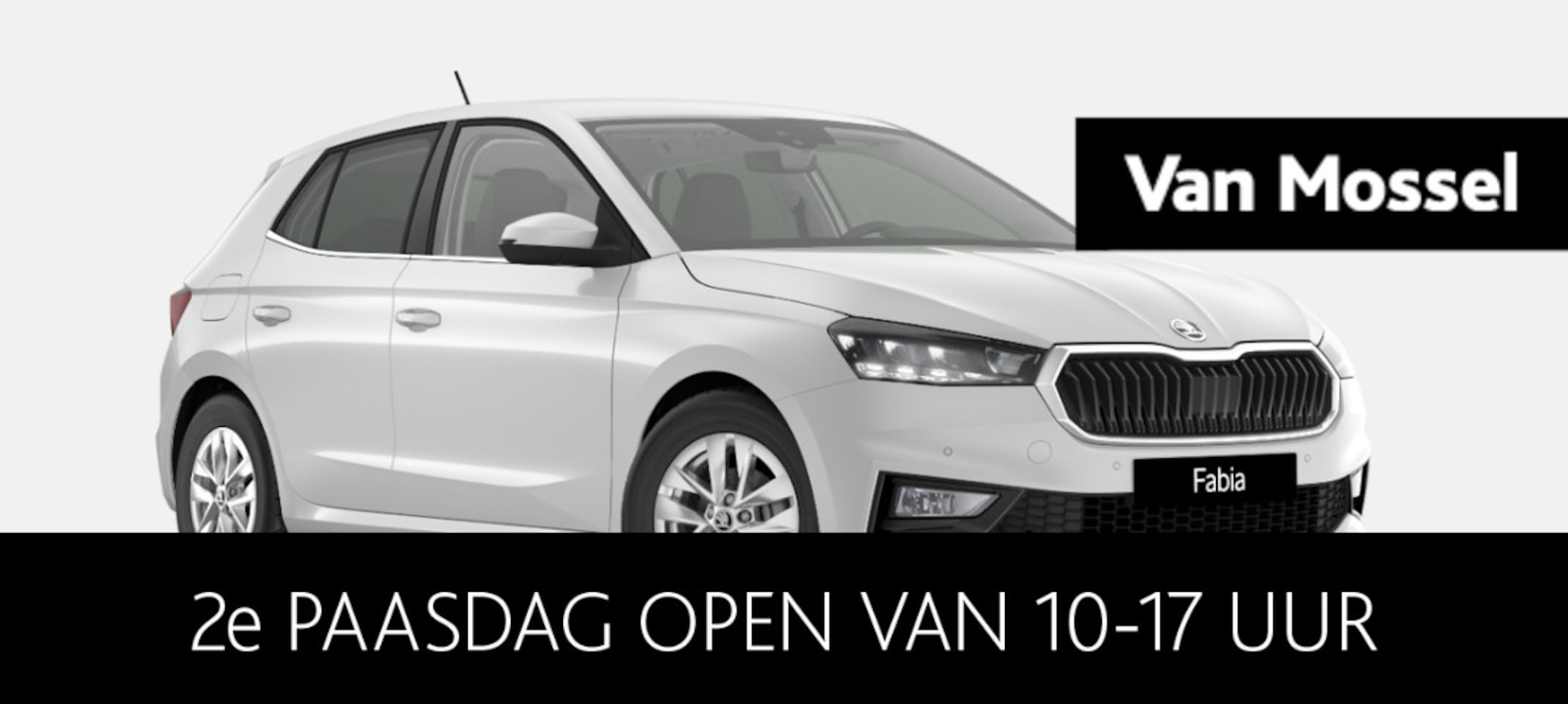 Skoda Fabia - 1.0 TSI Business Edition 1.0 TSI Business Edition - AutoWereld.nl