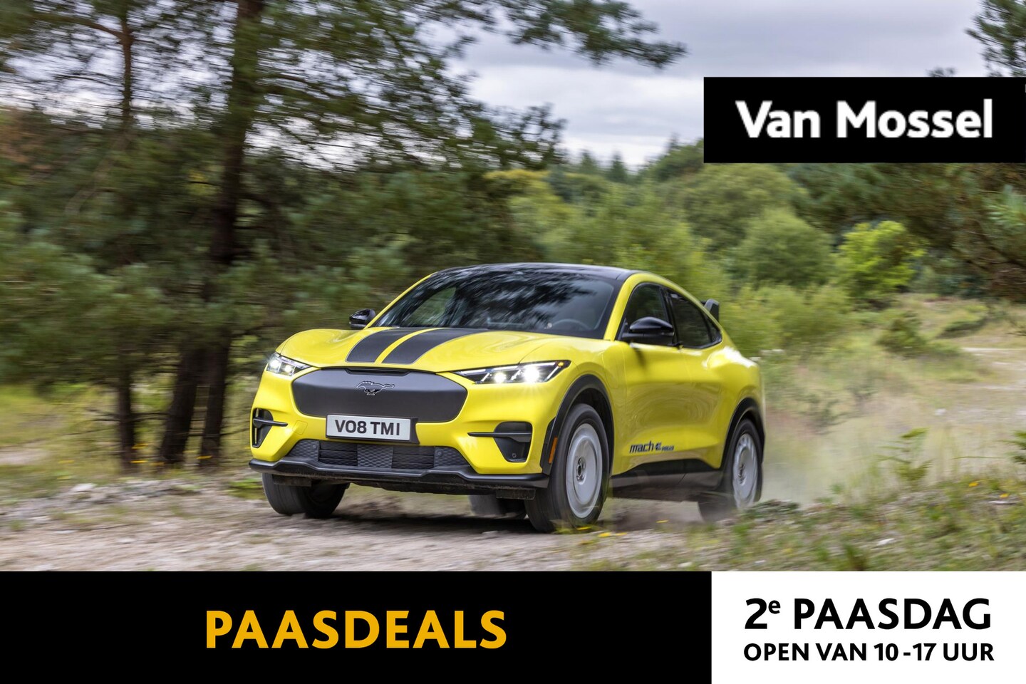 Ford Mustang Mach-E - Rally Extended AWD 91 kWh Ford Mustang Mach-E 98kWh Ext AWD Rally | Nieuw Te Bestellen | V - AutoWereld.nl