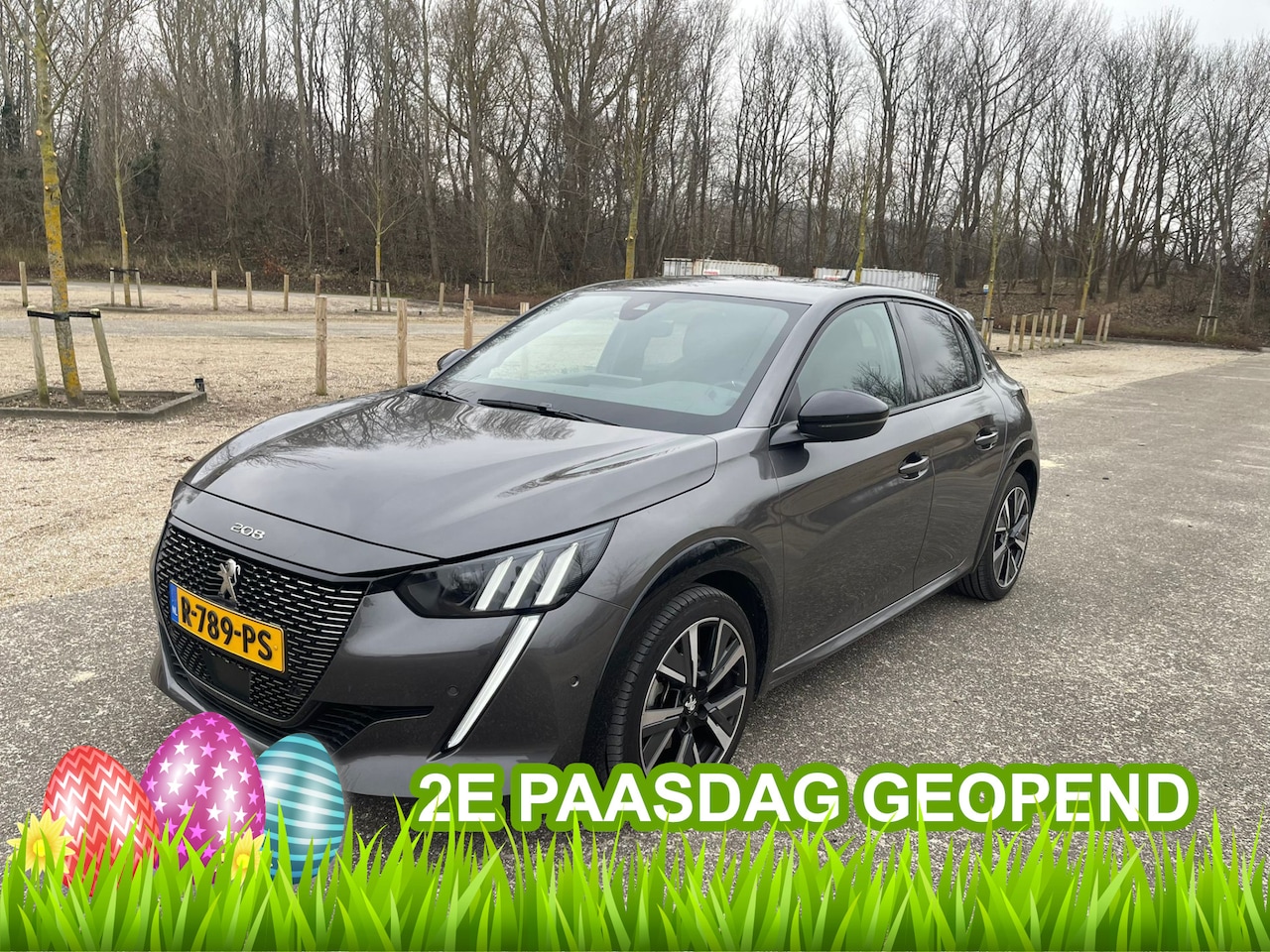 Peugeot 208 - 1.2 PureTech GT Line | Boekjes | Onderhoudshistorie - AutoWereld.nl