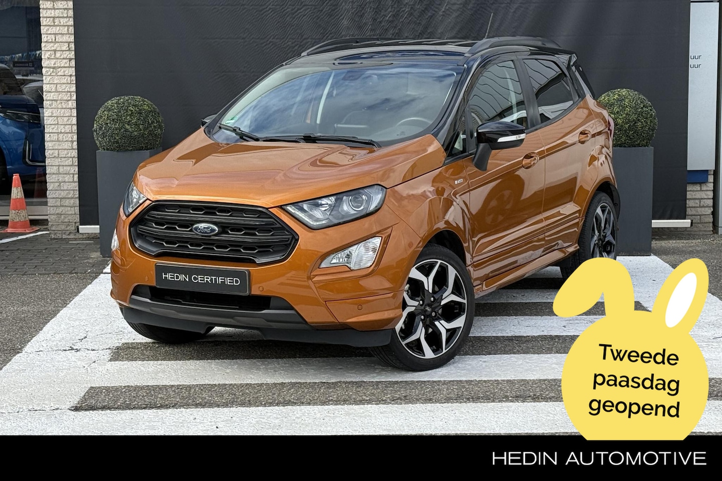 Ford EcoSport - 1.0 EcoBoost ST-Line | Trekhaak afneembaar | Winterpack - AutoWereld.nl