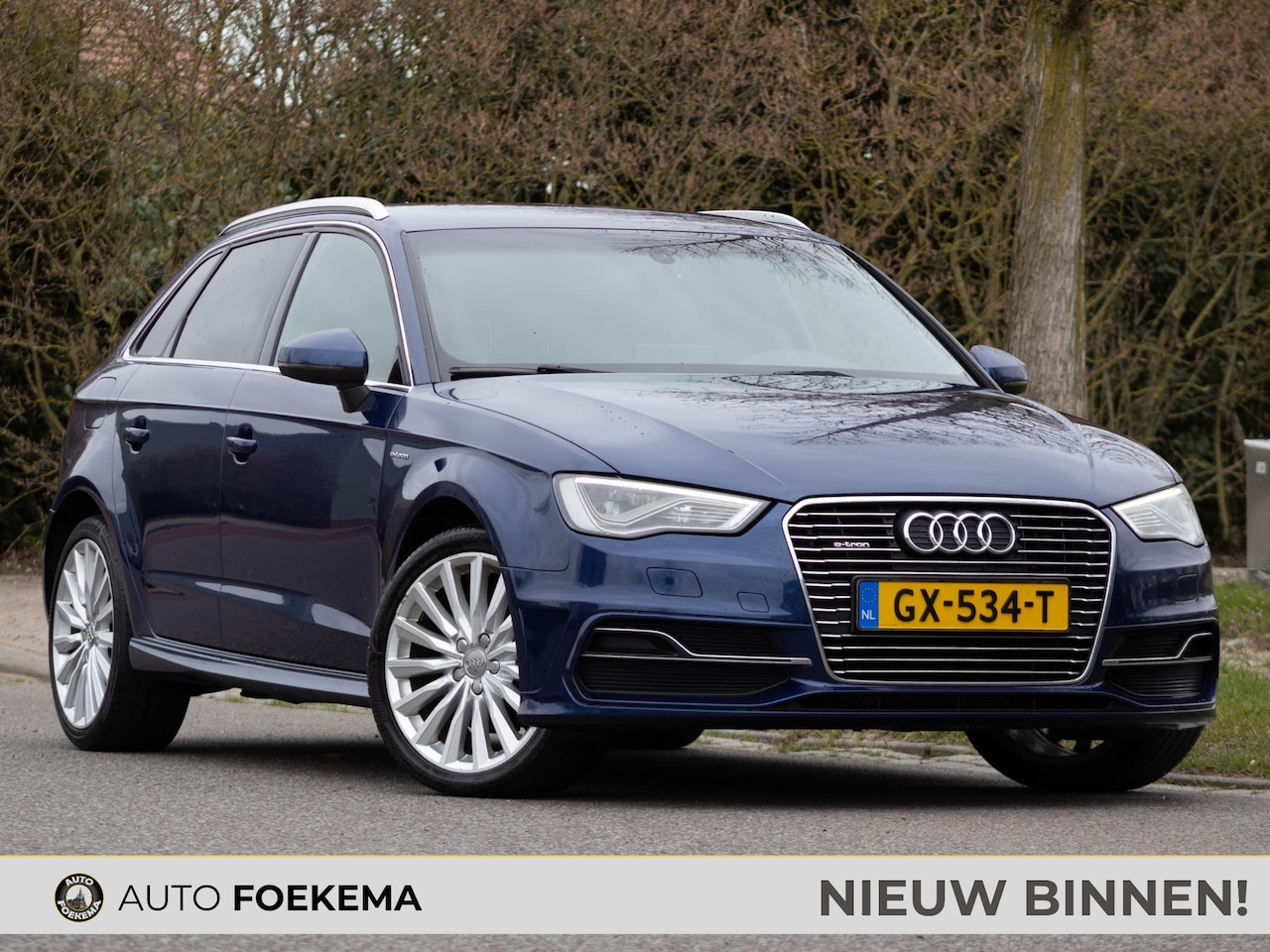 Audi A3 Sportback - 1.4 e-tron PHEV Ambition Pro Line plus S line LED Half leder - AutoWereld.nl