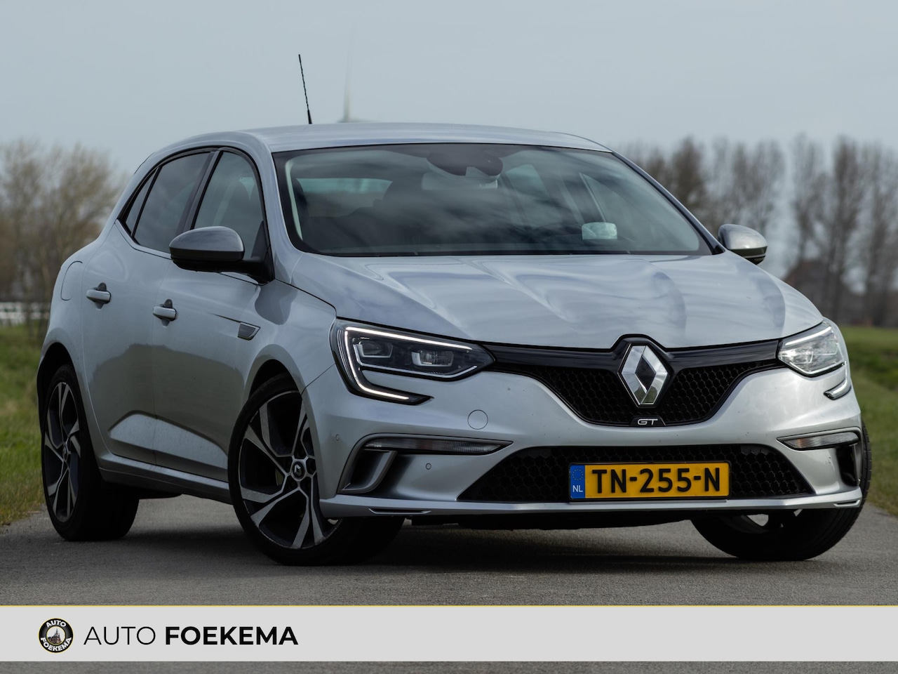 Renault Mégane - 1.6 TCe GT HUD Schaalstoelen 4 CONTROL - AutoWereld.nl