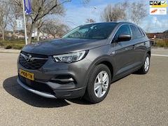 Opel Grandland X - 1.2 Turbo Business Executive / 1e.eigenaar / foto’s volgen
