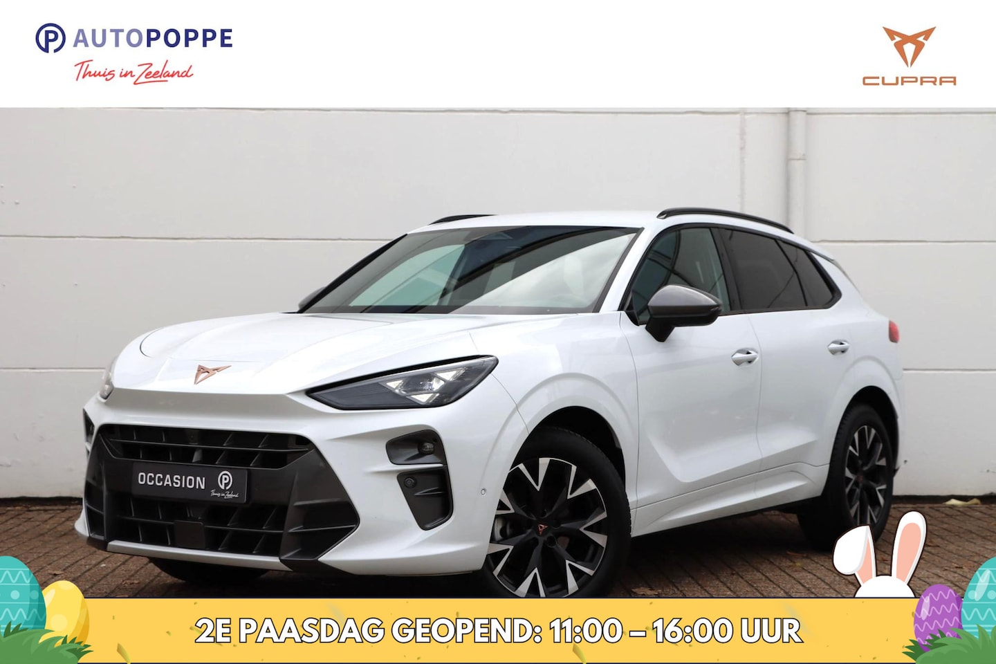 CUPRA Terramar - 1.5 TSI eTSI Business 150pk DSG7 | Memory | Keyless | Carplay - AutoWereld.nl