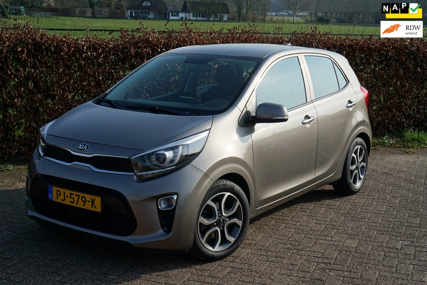 Kia Picanto - 1.0 CVVT ExecutiveLine|Dealerauto|Stuur/Stoel Verwarming - AutoWereld.nl