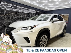Lexus NX - 300h AWD Ultimate Edition
