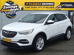 Opel Grandland X - 1.2T 130pk Business Edition | Airconditioning | Navigatie | Winterpakket | Camera | Lm vel