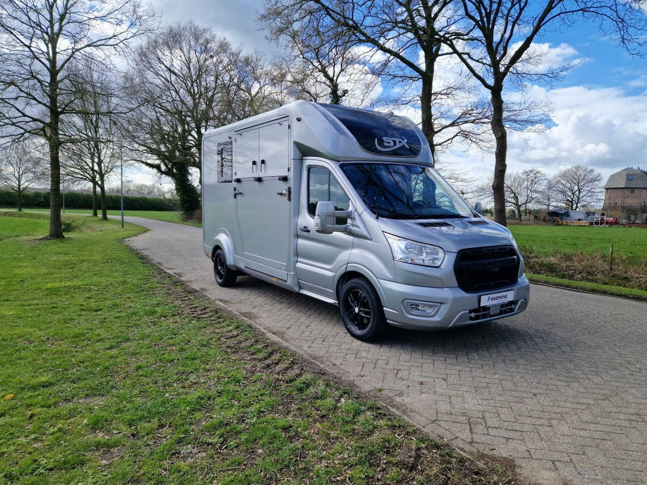 Ford Transit - STX S3 automaat paardenwagen met Pro-safety hengsten uitvoering id:2 - AutoWereld.nl
