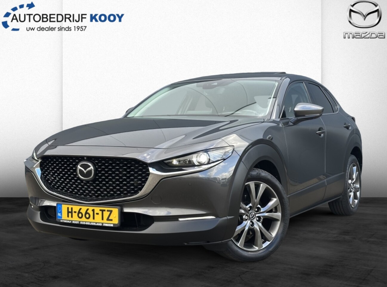 Mazda CX-30 - 2.0 SkyActiv-X Luxury / I-activesense / Schuifdak - AutoWereld.nl