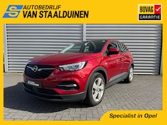 Opel Grandland X - 1.6 Turbo Hybrid Business Edition | Nieuw binnen | Stoelverwarming | Achteruitrijcamera |