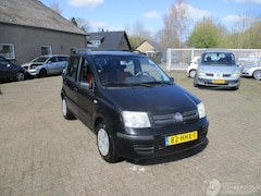 Fiat Panda - 1.2 Edizione Cool