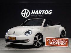 Volkswagen Beetle Cabriolet - 1.2 TSI Club + CAMERA / XENON / APPLE CARPLAY