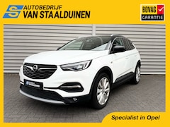 Opel Grandland X - 1.2 Turbo Business Executive | Trekhaak | Elektrische achterklep | Parkeersensoren V&A | N