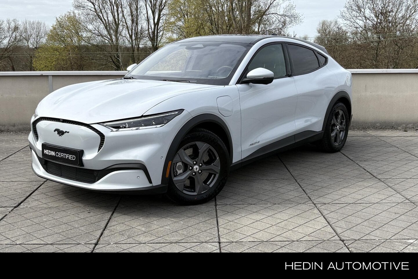 Ford Mustang Mach-E - RWD 75 kWh | SOH 93,9% | Technology Pack+ | Panoramadak - AutoWereld.nl