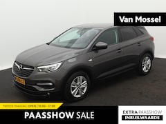 Opel Grandland X - 1.2 Turbo Online Edition | Apple Carplay/Android Auto | Cruise control | Parkeersensor ach