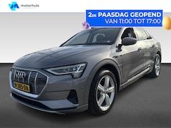 Audi e-tron - 50 quattro 313pk Launch Edition Plus Launch Edition