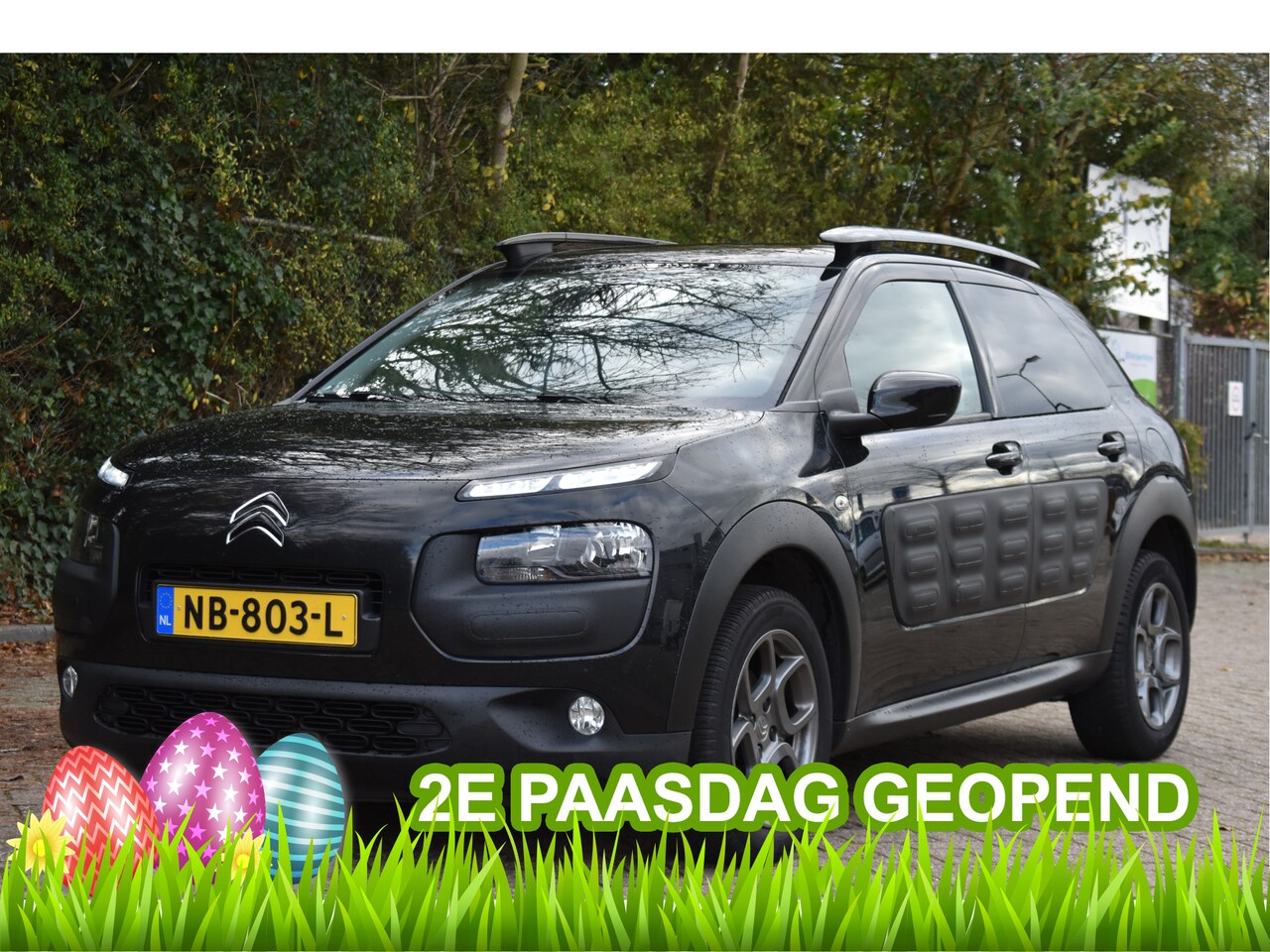 Citroën C4 Cactus - 1.2 PureTech Shine Airbump Blackline | NL-Auto | Nav | Cruise Control | PDC achter | LM-Ve - AutoWereld.nl