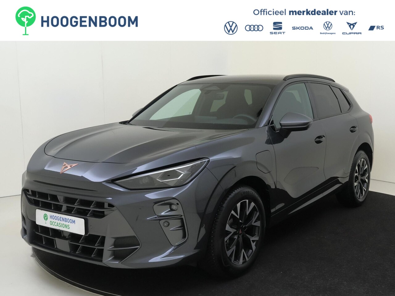 CUPRA Terramar - 1.5 TSI e-Hybrid Business | SoH 100% | 360 camera | Adaptieve demping | Head-up display | - AutoWereld.nl