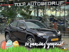 Lexus UX - 300e Business 54 kWh 2022 Leder NAvi 1e eigenaar