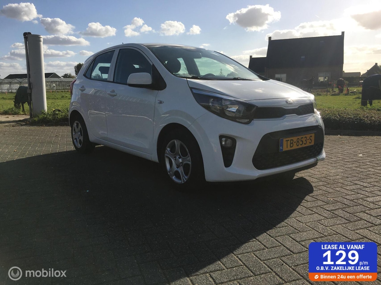 Kia Picanto - 1.0 CVVT ExecutiveLine 5drs AIRCO Stuurwielbed. Bleuth.USB Etc 1e Eigenaar - AutoWereld.nl