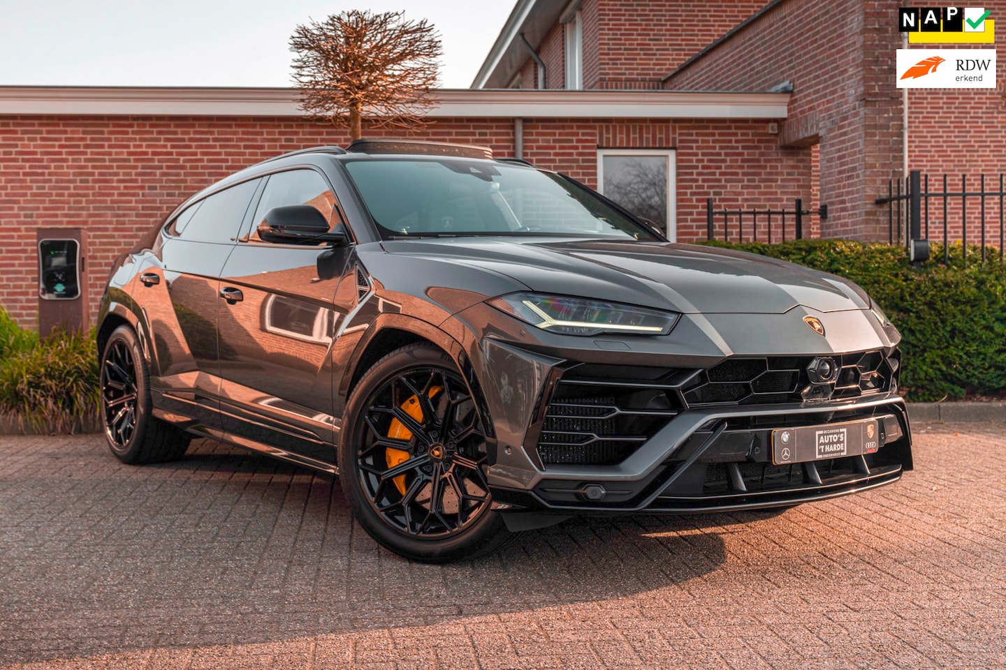 Lamborghini Urus - 4.0 V8 650 PK Pano Keramisch B&O Advanced Massage Luchtvering 360 Camera ACC 22'' - AutoWereld.nl